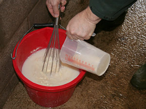 pouring and mixing bovine colostrum mixture in bucket Poweder milk being made up in a red bucket