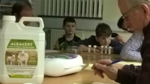 Boys looking at liverfluke samples