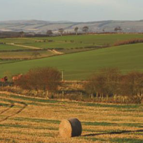 Agribusiness News
