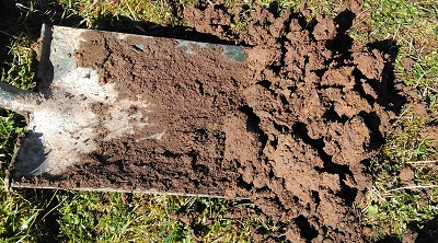 Orange particles in the soil denotes water logging