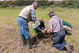 Farmers assessing soil structure