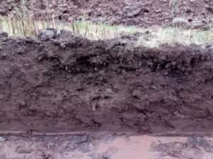 Photo of soil structure in a soil pit