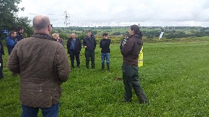 Group of people in a grass field