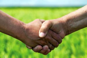 Handshake in field