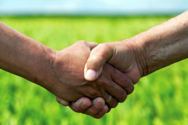 Handshake in field