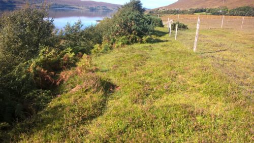 Upland ground at a croft near Ullapool with water in the background