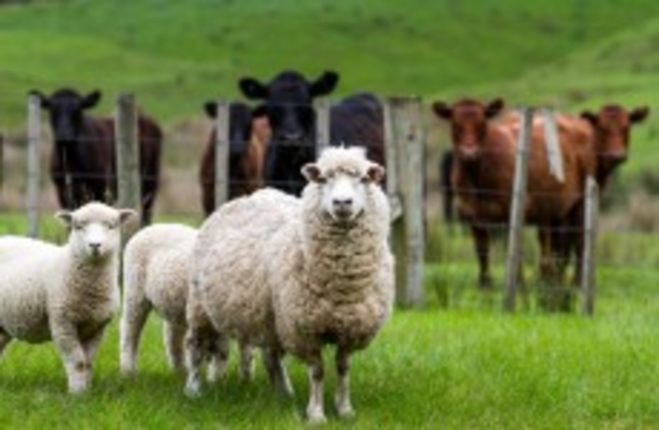 Herd Management