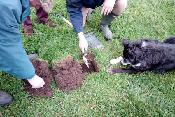 Two men digging a small hole for a soil assessment, in a grass/clover field. There is a black dog lying nearby watching them closely!