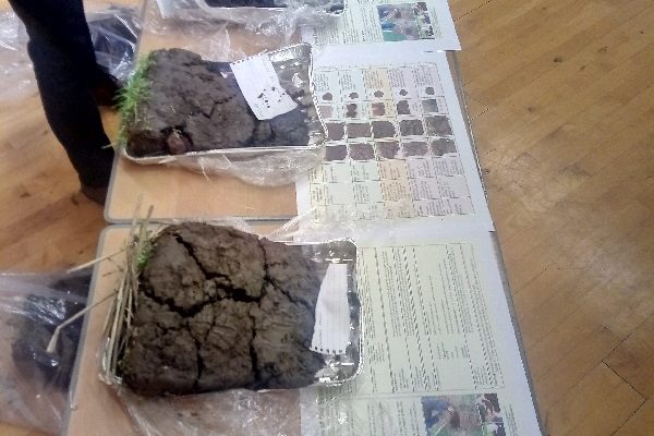 Clods of soil used to demonstrate differing soil structures at the Fife ICM meeting