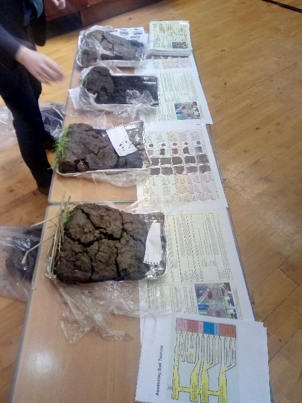 Clods of soil used to demonstrate differing soil structures at the Fife ICM meeting