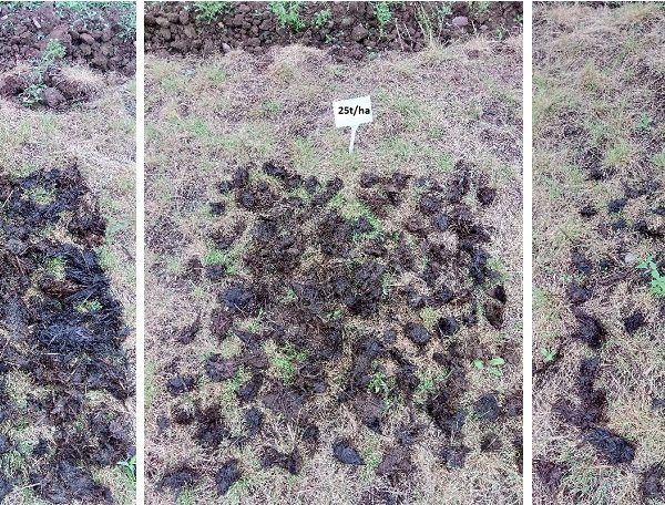 Figure 1 - one metre squares showing 41 t/ha; 25 t/ha & 5 t/ha manure application rates based on a standard manure analysis of 6 kg/t of N