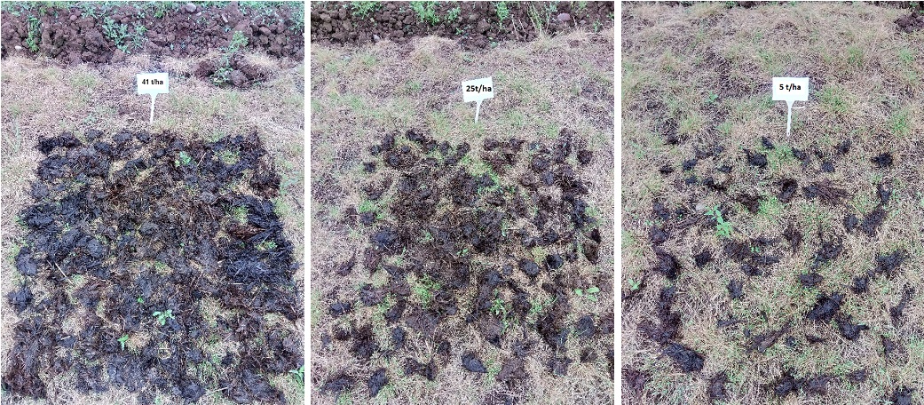 Figure 1 - one metre squares showing 41 t/ha; 25 t/ha & 5 t/ha manure application rates based on a standard manure analysis of 6 kg/t of N
