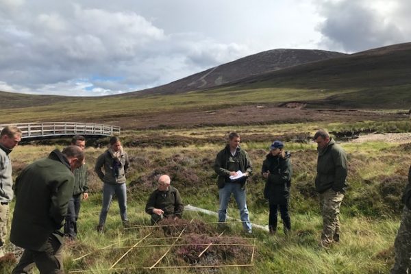 Assessing the condition of the habitat on the Glen Tanar Estate in relation to the impact of deer