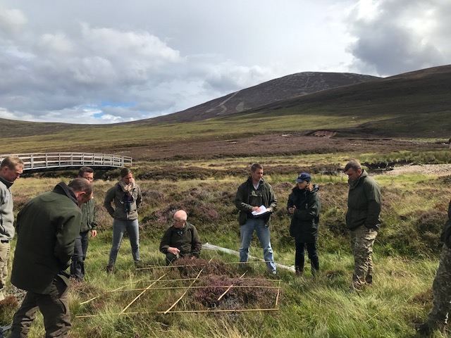 Assessing the condition of the habitat on the Glen Tanar Estate in relation to the impact of deer