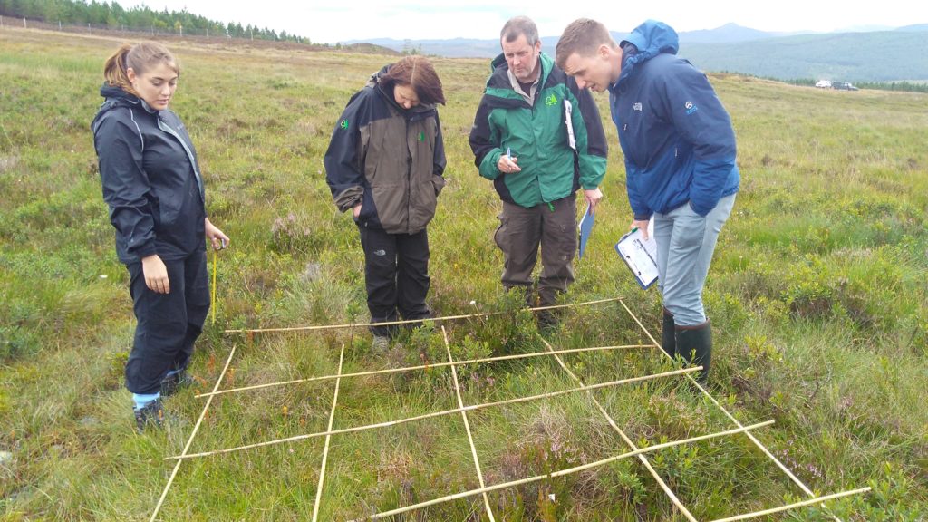 Habitat impact assessment survey in action with 4 people looking at the species present within a quatrat on the Atholl Estate, Perthshire