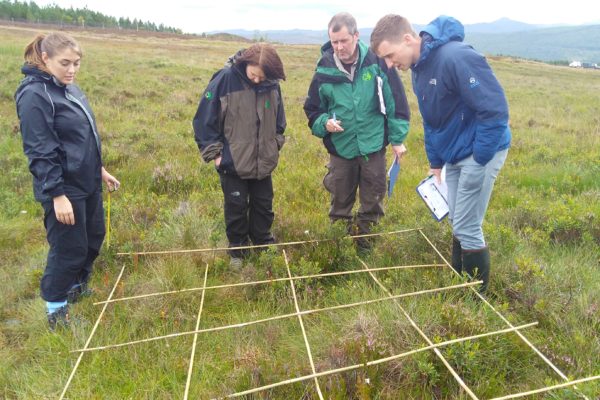Habitat impact assessment survey in action with 4 people looking at the species present within a quatrat on the Atholl Estate, Perthshire