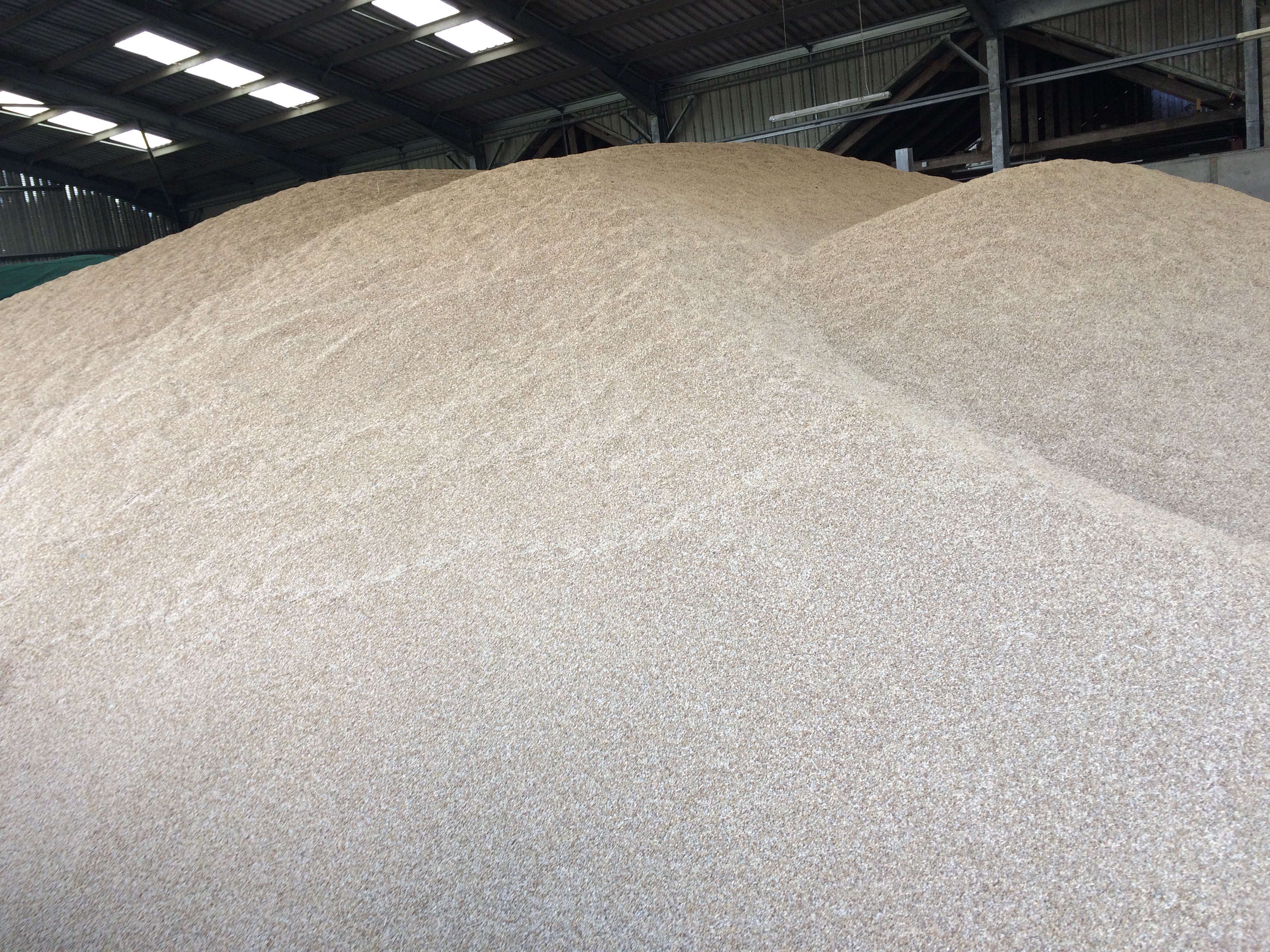 heap of grain