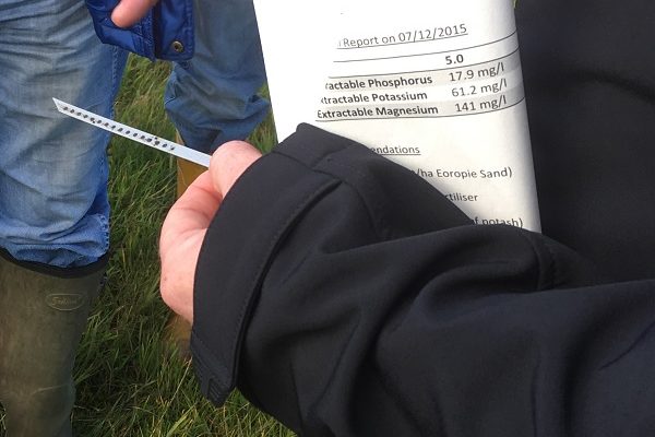 A close up photo of a bait lamina stick which is used to monitor soil biological activity as a guide to soil health