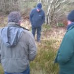 Group of people in a rush infested field discussing rush control