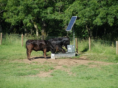 A solar powered water trough in a grassland field with trees in the background and some black cattle standing next to it.