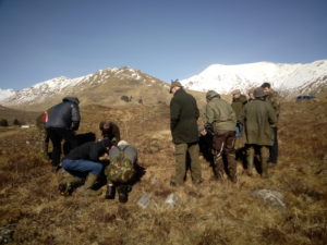 Examining a quatrat in upland habitats near Wester Ross