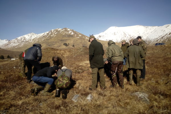Examining a quatrat in upland habitats near Wester Ross