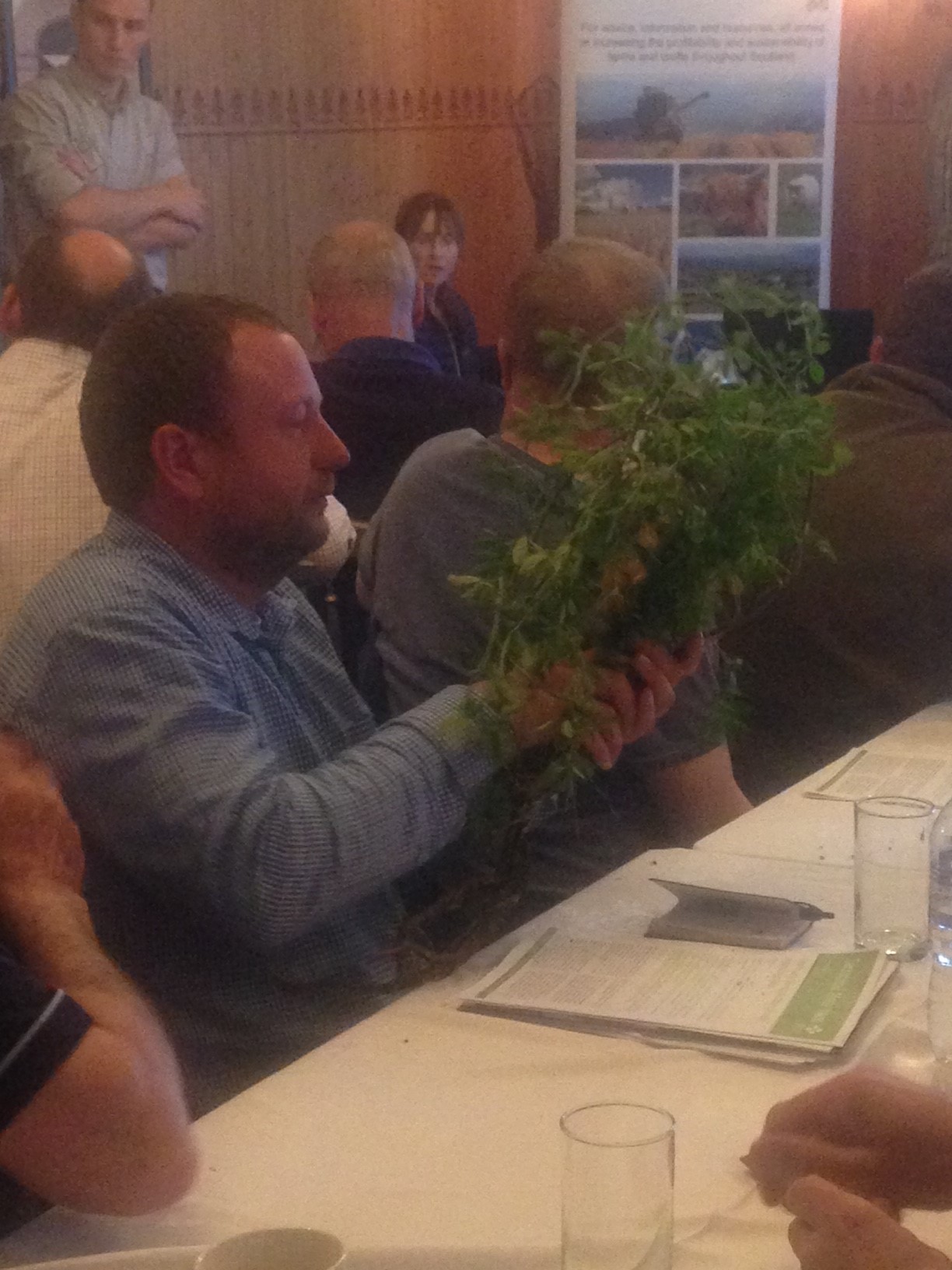 Cover crop plant being passed around a group of farmers at the Angus Soil & Nutrient network meeting