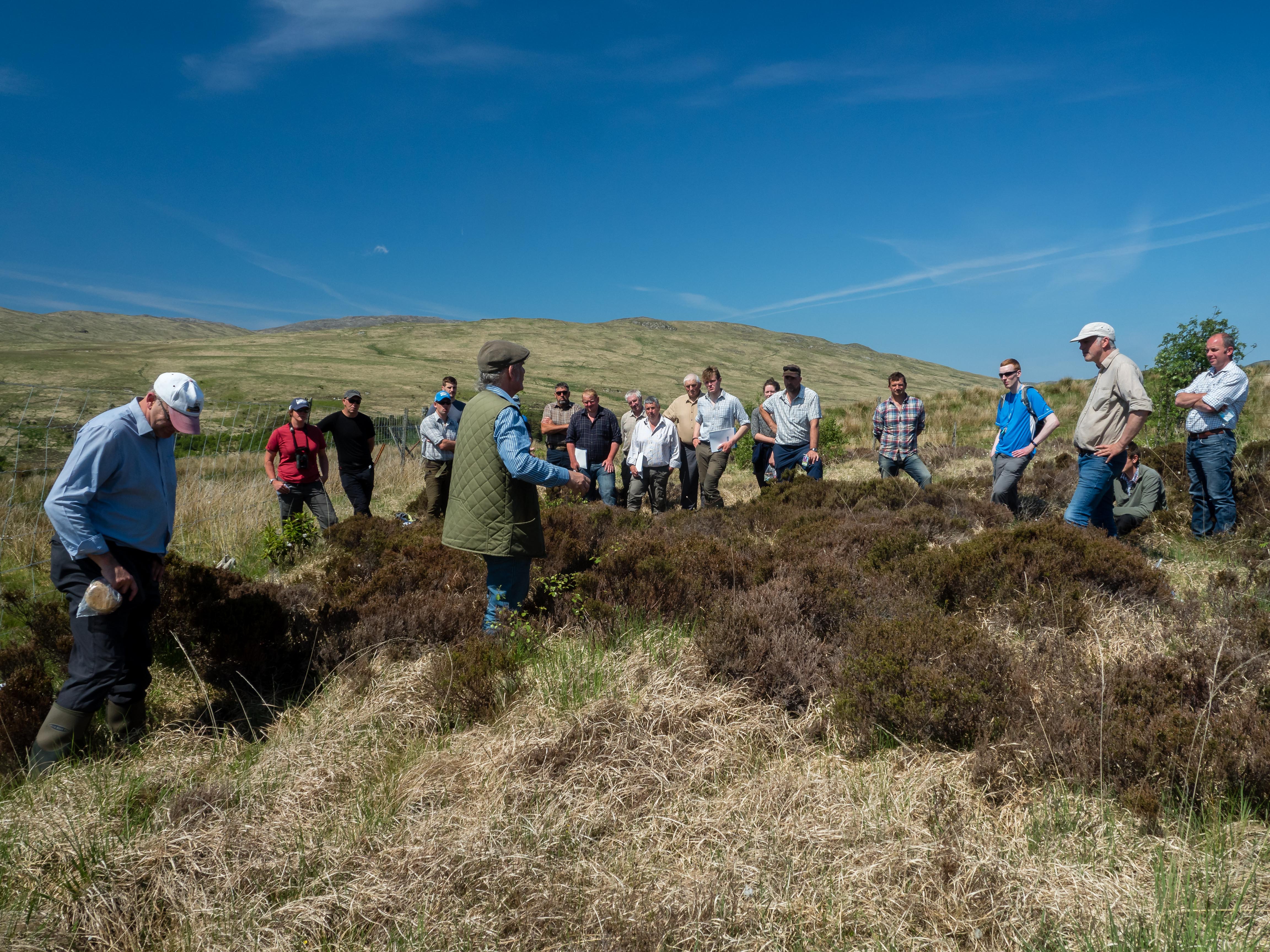 Upland habitats event on Jura - group of people in an upland habitat learning about what indicators to look for when assessing for herbivore damage