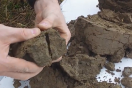 Hands breaking open a clod of compacted soil