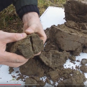 Hands breaking open a clod of compacted soil