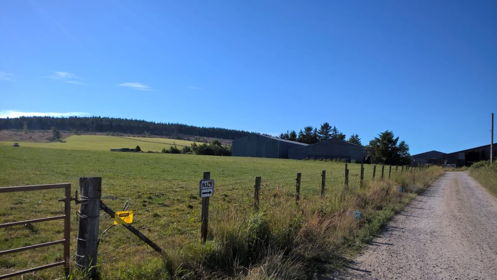 Landscape photo showing a grassland field to the left of a roadway leading to a steading