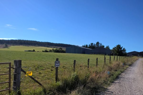 Landscape photo showing a grassland field to the left of a roadway leading to a steading