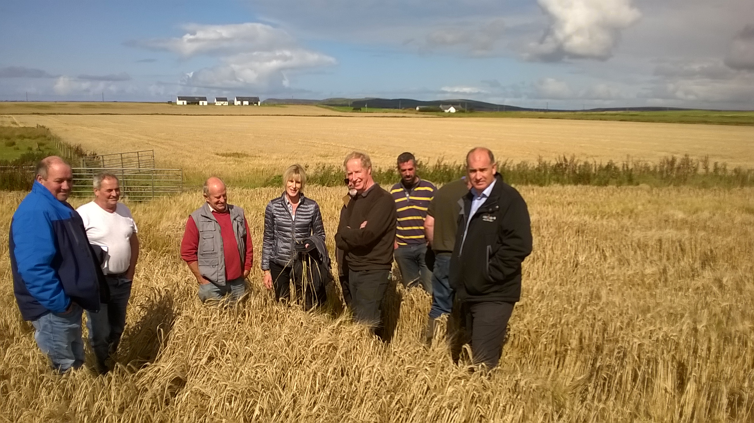 Barley 1 -group