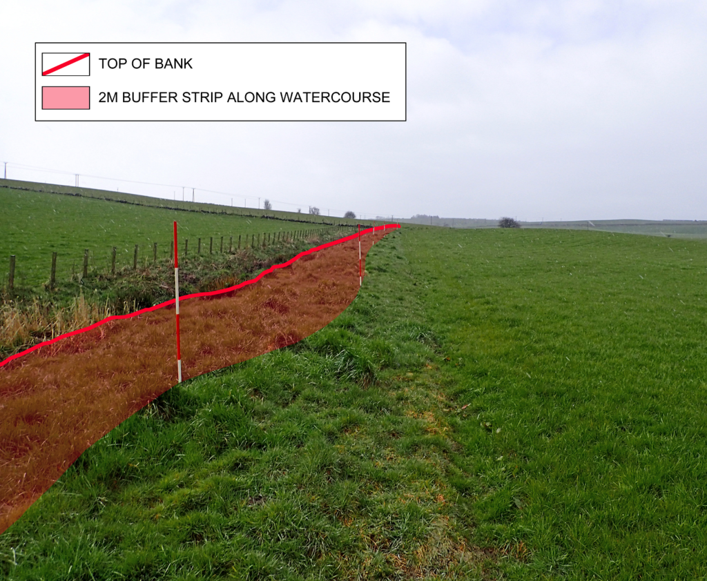 Photo showing the area to be managed as a 2 metre buffer strip next to a watercourse