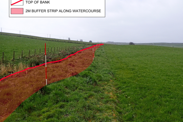 Photo showing the area to be managed as a 2 metre buffer strip next to a watercourse