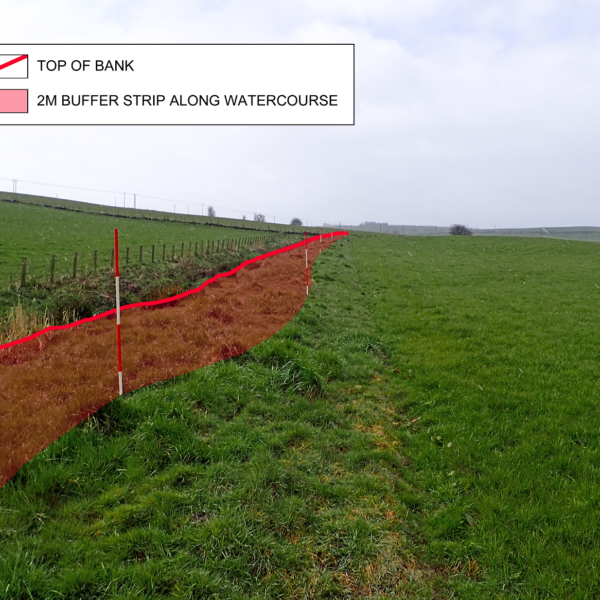 Photo showing the area to be managed as a 2 metre buffer strip next to a watercourse