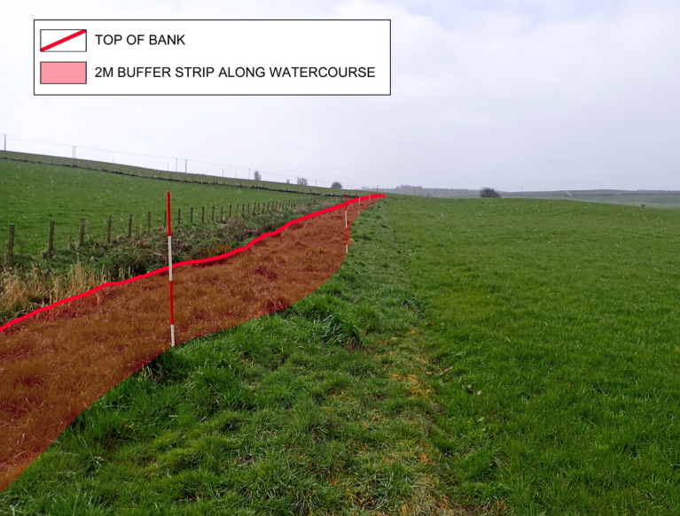 Photo showing the area to be managed as a 2 metre buffer strip next to a watercourse
