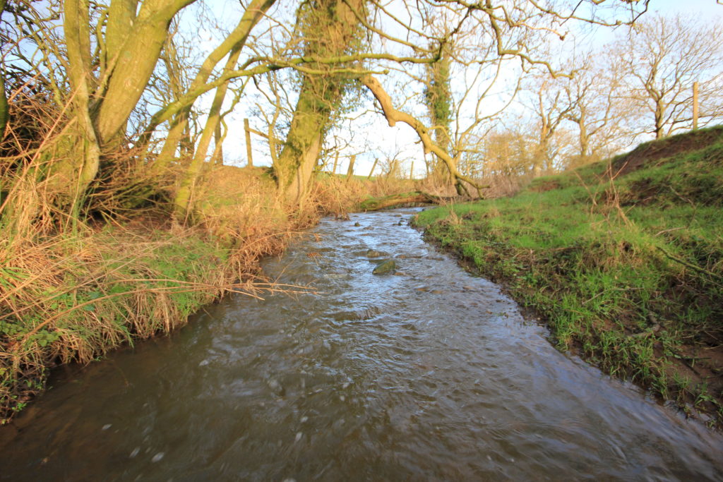 Watercourse with trees on the left hand side, bathed in autumn afternoon sun.