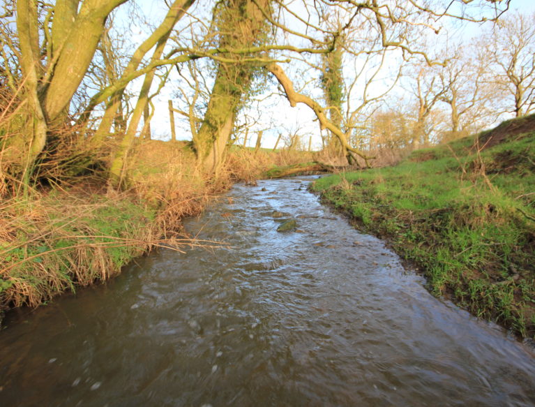 Watercourse with trees on the left hand side, bathed in autumn afternoon sun.