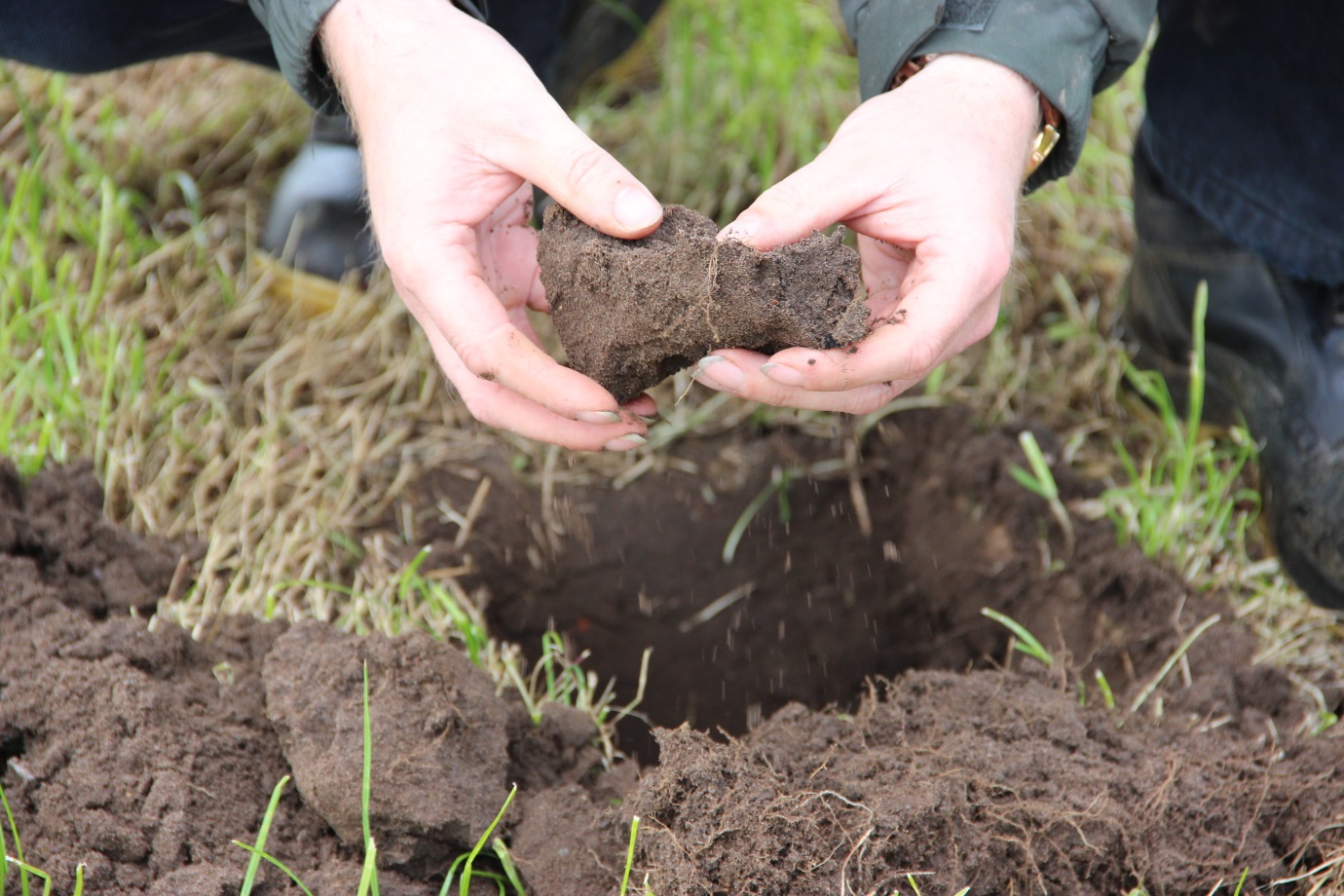 Soils