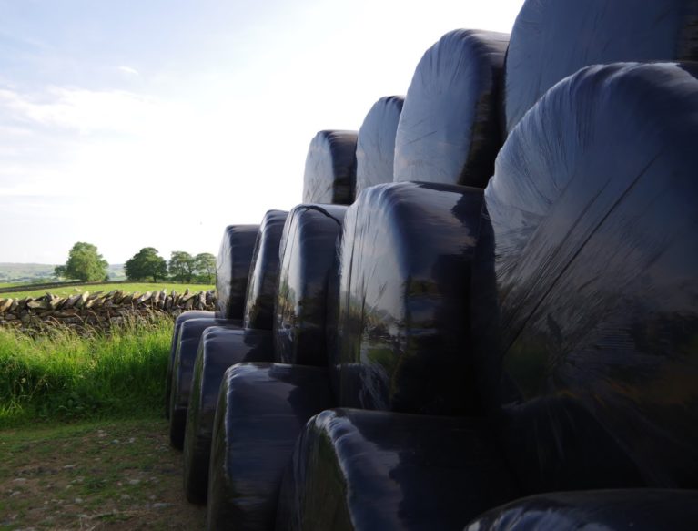 Silage bales stacked