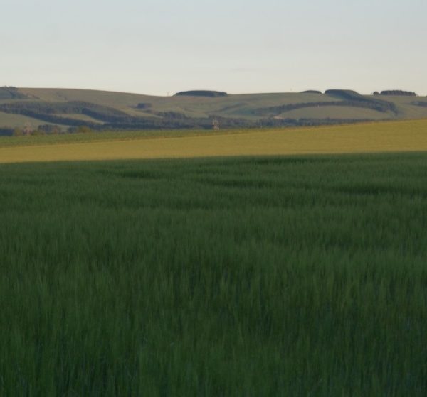 Integrated Pest Management plan