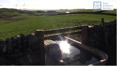 Water trough with sunlight reflecting from it