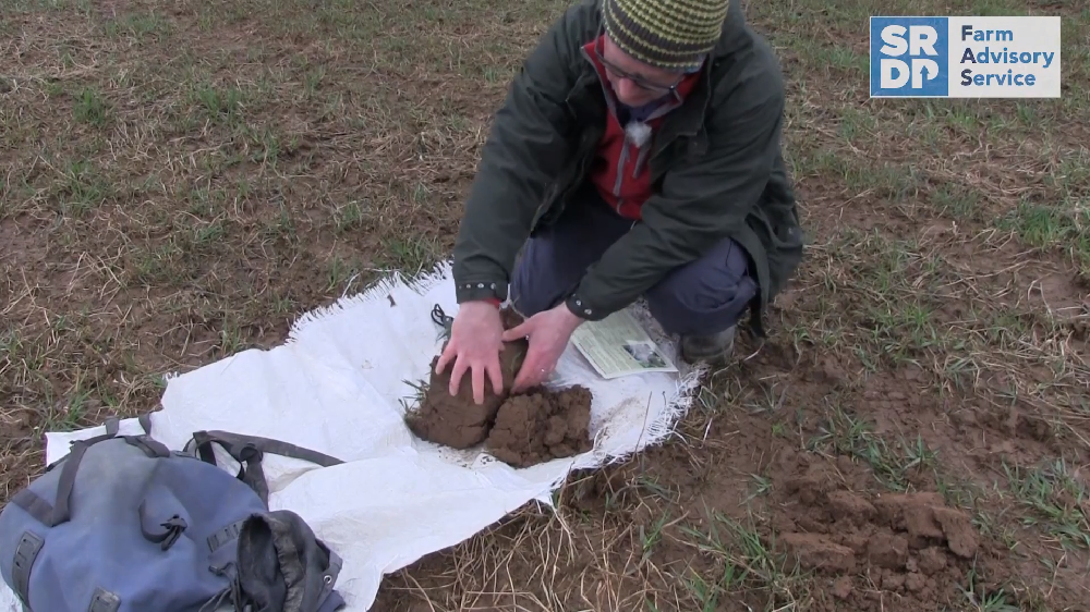 A man examining a clod of soil to evaluate the soil structure