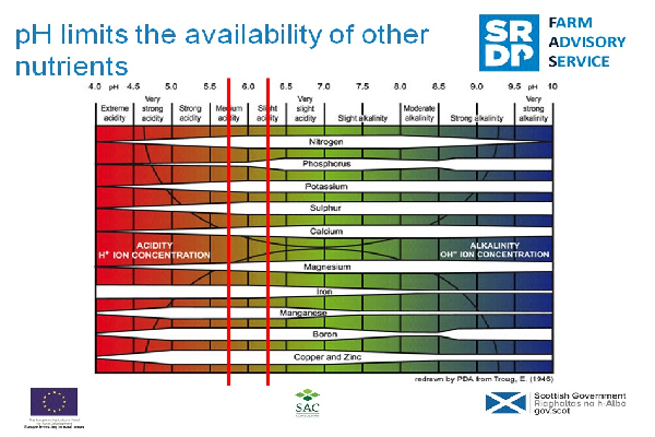 Understanding Soil pH