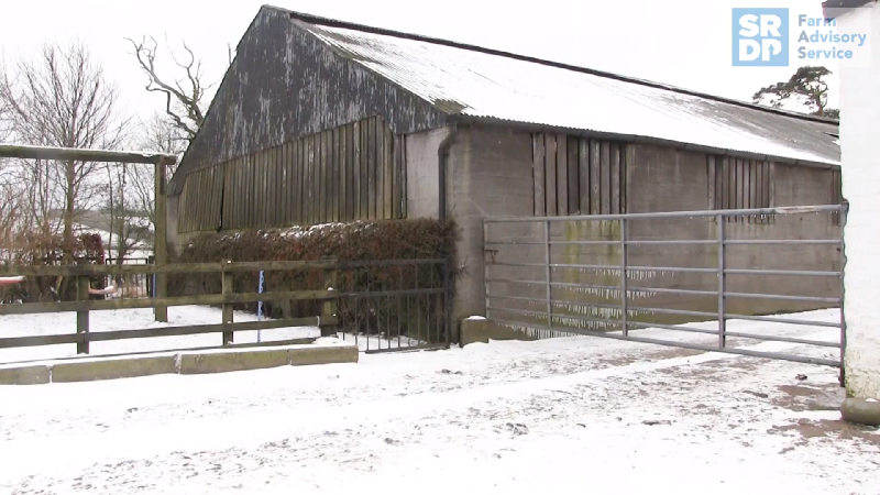 Snowy yard scene with icicles hanging from a gate