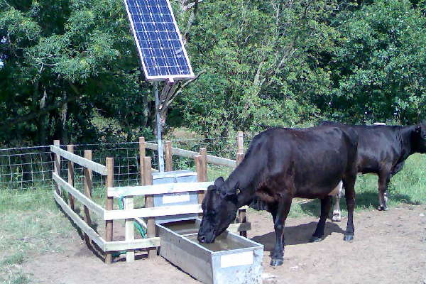 Alternative Watering Systems 