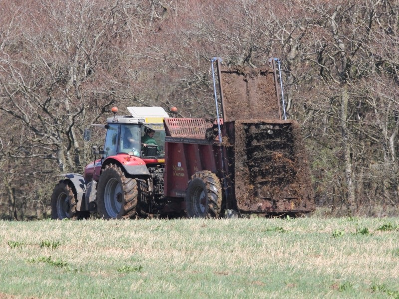 muck spreader in action in grassland field with trees in the background