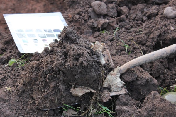 Managing Soil Quality