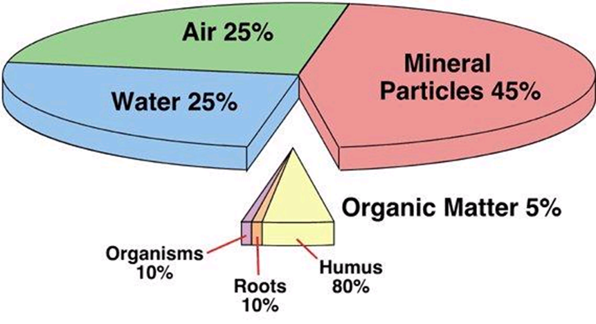Pie chart showing what soil is made up of